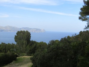 IMG_5235 (Medium)